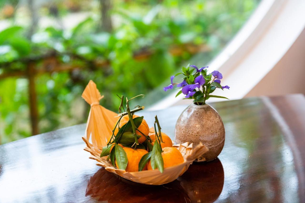 Binh Minh Eco Lodge Cần Thơ Zewnętrze zdjęcie